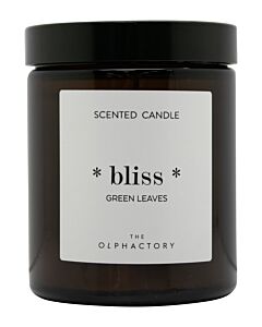 The Olphactory Bliss Green Leaves Scented Candle 135g | Maznun Fashion