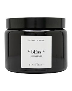 The Olphactory Bliss Green Leaves Scented Candle 360g | Maznun Fashion