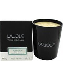 Lalique Candle 190g - Peuplier Aspen-Q643199 | Maznun Fashion