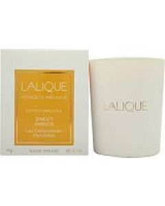 Lalique Les Compositions Parfumées Sweet Amber Candle 190g-T199254 | Maznun Fashion