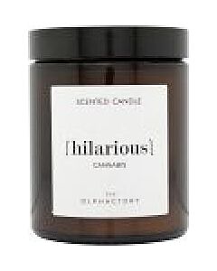 The Olphactory Hilarious Cannabis Scented Candle 135g-N8599214 | Maznun Fashion