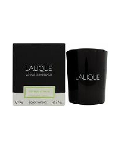 Lalique Candle 190g - Osmanthus Himalaya-G394838 | Maznun Fashion