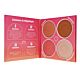 Sunkissed Radiant Lustre Face Palette - 4 Shades-D4046104