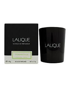 Lalique Candle 190g - Osmanthus Himalaya | Maznun Fashion