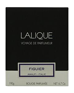 Lalique Candle 190g - Figuier Amalfi | Maznun Fashion