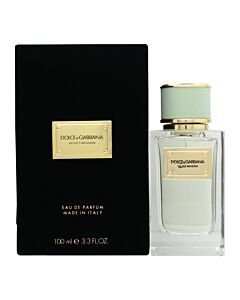 Dolce & Gabbana Velvet Infusion Eau de Parfum 100ml Spray | Maznun Fashion